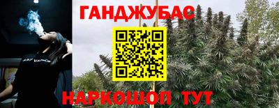 дмт Белореченск