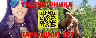 герыч Бердск