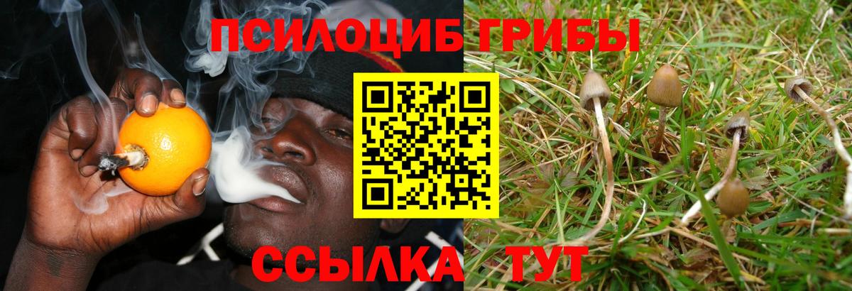 Ачинск  Псилоцибиновые грибы Magic Shrooms  Вход с VPN  Галлюциногенные грибы Magic Shrooms 